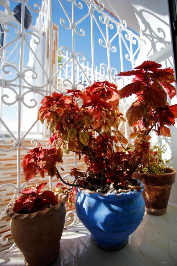 Dar Sidi Mfedal Chefchaouen Exterior foto